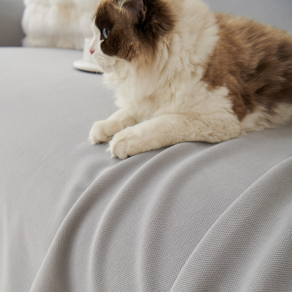 Waterproof Scratch Proof Sofa Protector Throw Blanket, Couch Cover for Pets & Kids