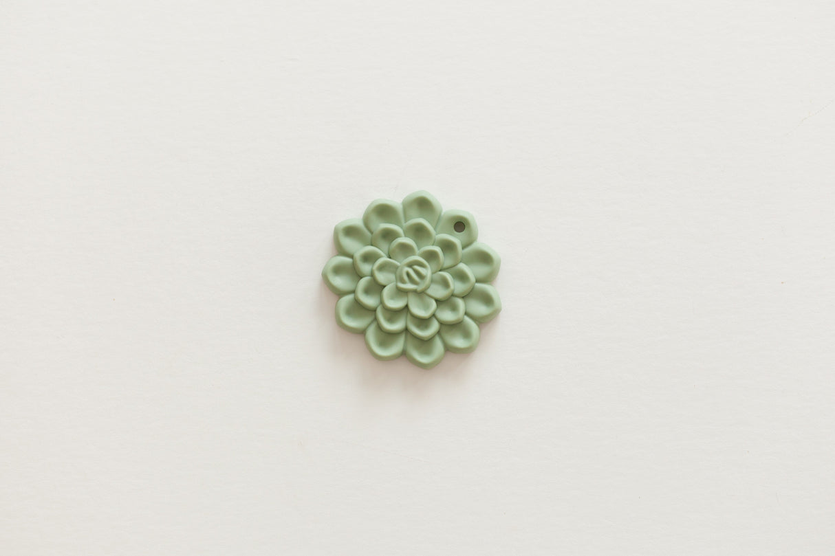 Succulent Teethers