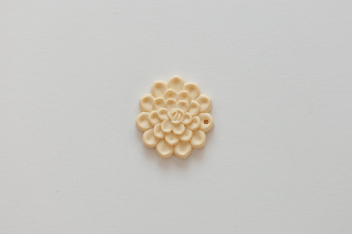 Succulent Teethers