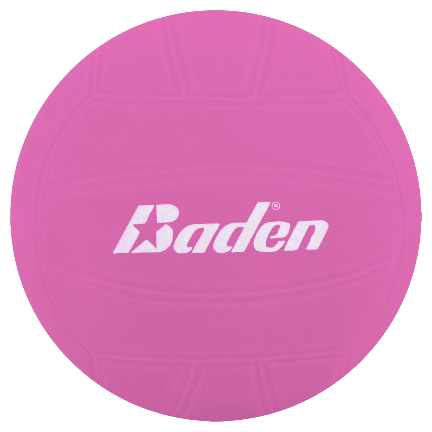 12 Pack of Vinyl Mini Volleyballs