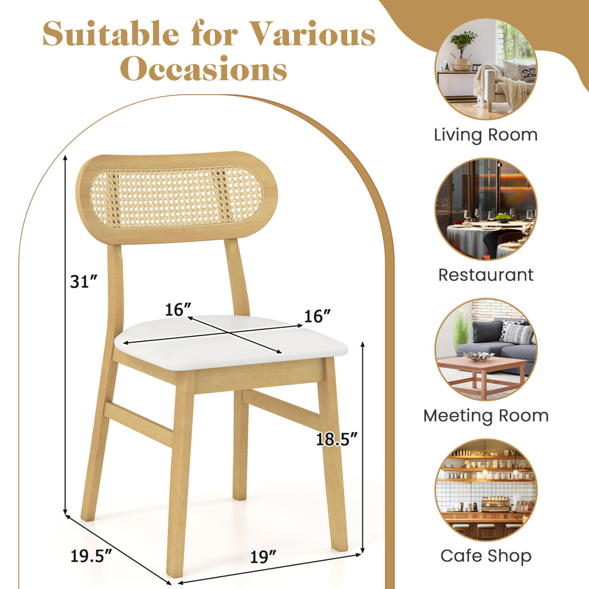 Indoor Mid Century Wood Dining Chairs Set of 2 for Dining Room-White
