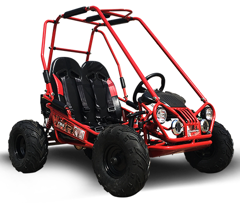 TrailMaster MINI XRX+ Kids Go Kart, 5.5hp Gas Engine with Electric Start, Remote Start/Kill, Ages 4-9