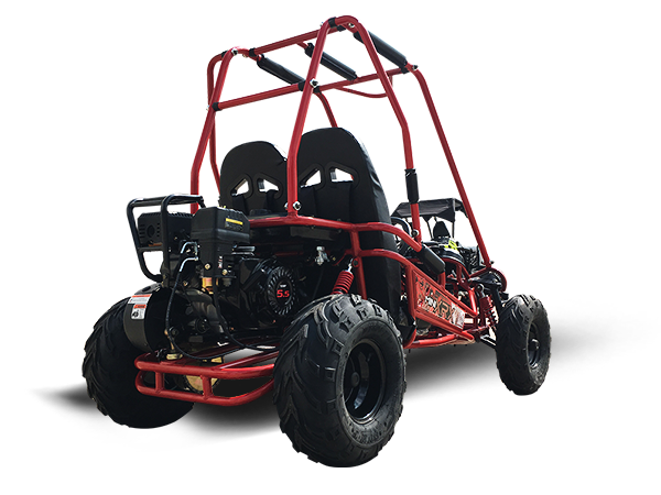 TrailMaster MINI XRX+ Kids Go Kart, 5.5hp Gas Engine with Electric Start, Remote Start/Kill, Ages 4-9