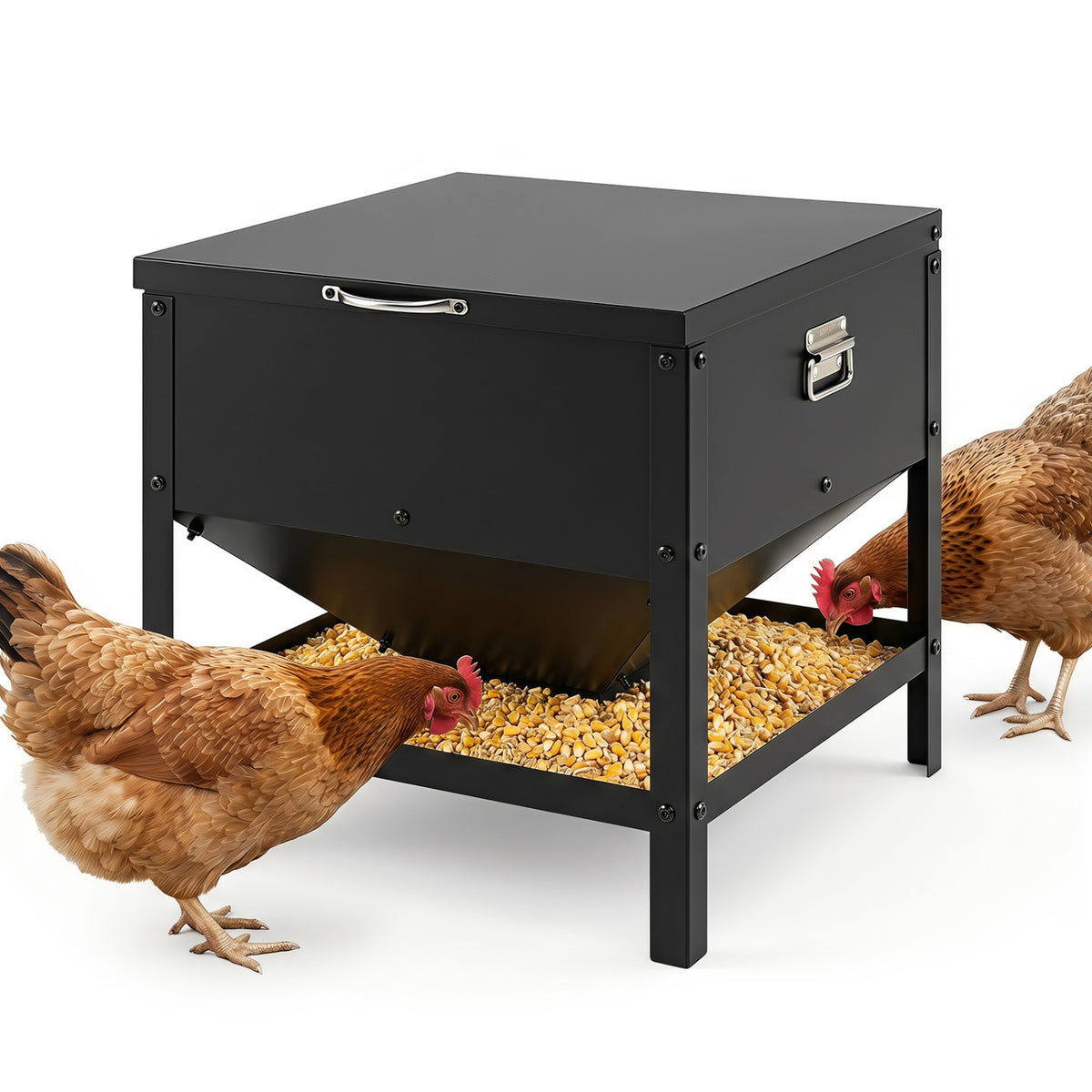 Large Capacity Chicken Feeding Box with Openable Lid-Black