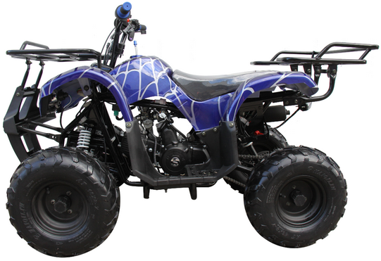 Mini 125cc Utility Style ATV, Electric Start, Automatic with Reverse, 7-inch Wheels, Ages 9-12