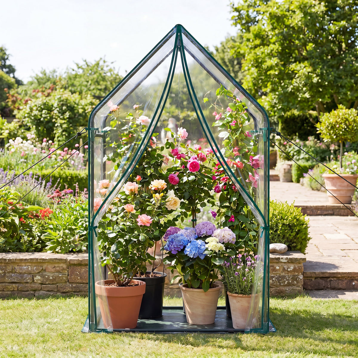 Mini Green House Metal Frame with Waterproof Bottom Mat and Wind Ropes-L