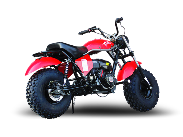 TrailMaster Monster Dog II Mini Bike, 208cc 7.5hp with Torque Converter, Rear Hydraulic Disc Brake