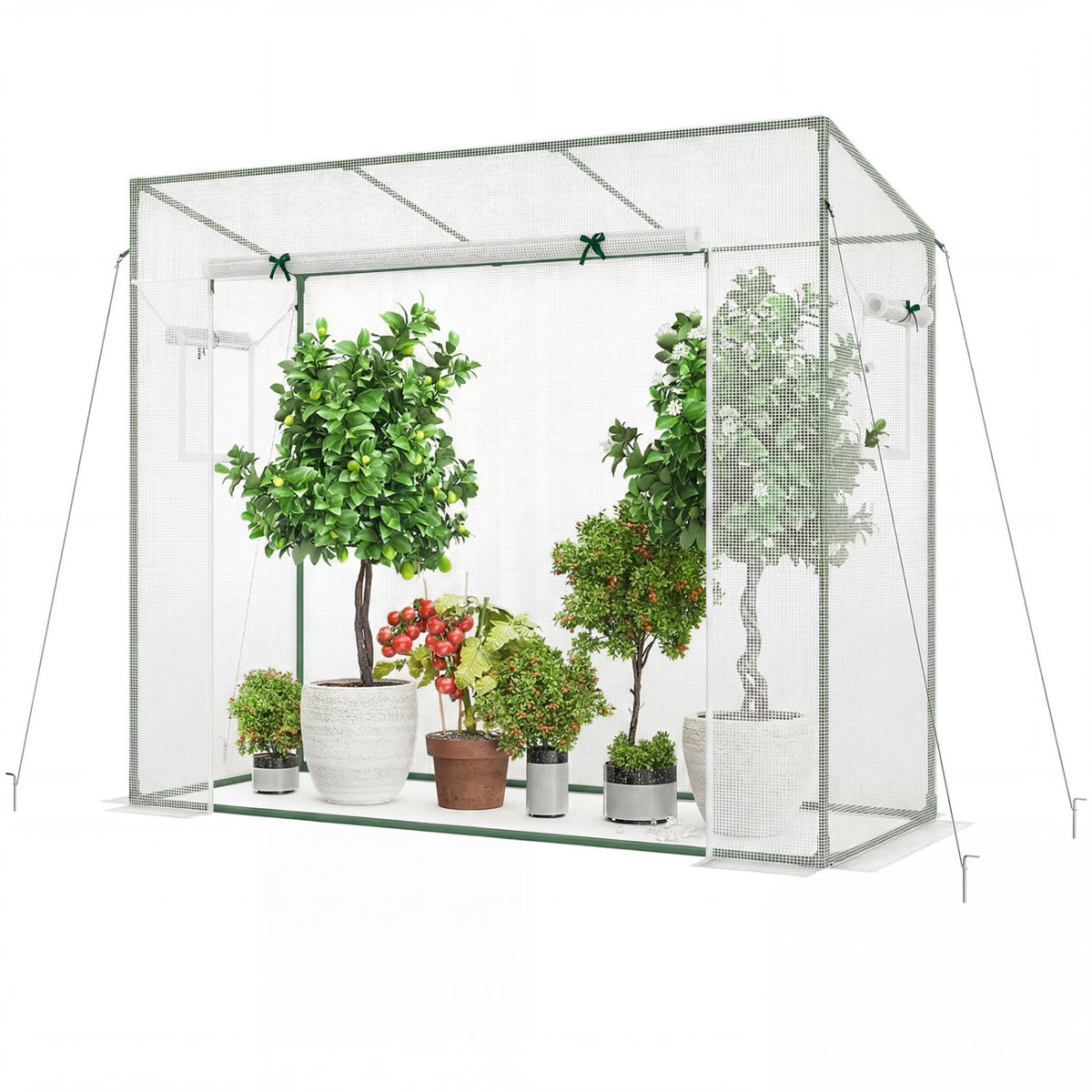 Outdoor Portable Walk-in Greenhouse with PE Cover Roll-up Zipper Door-White