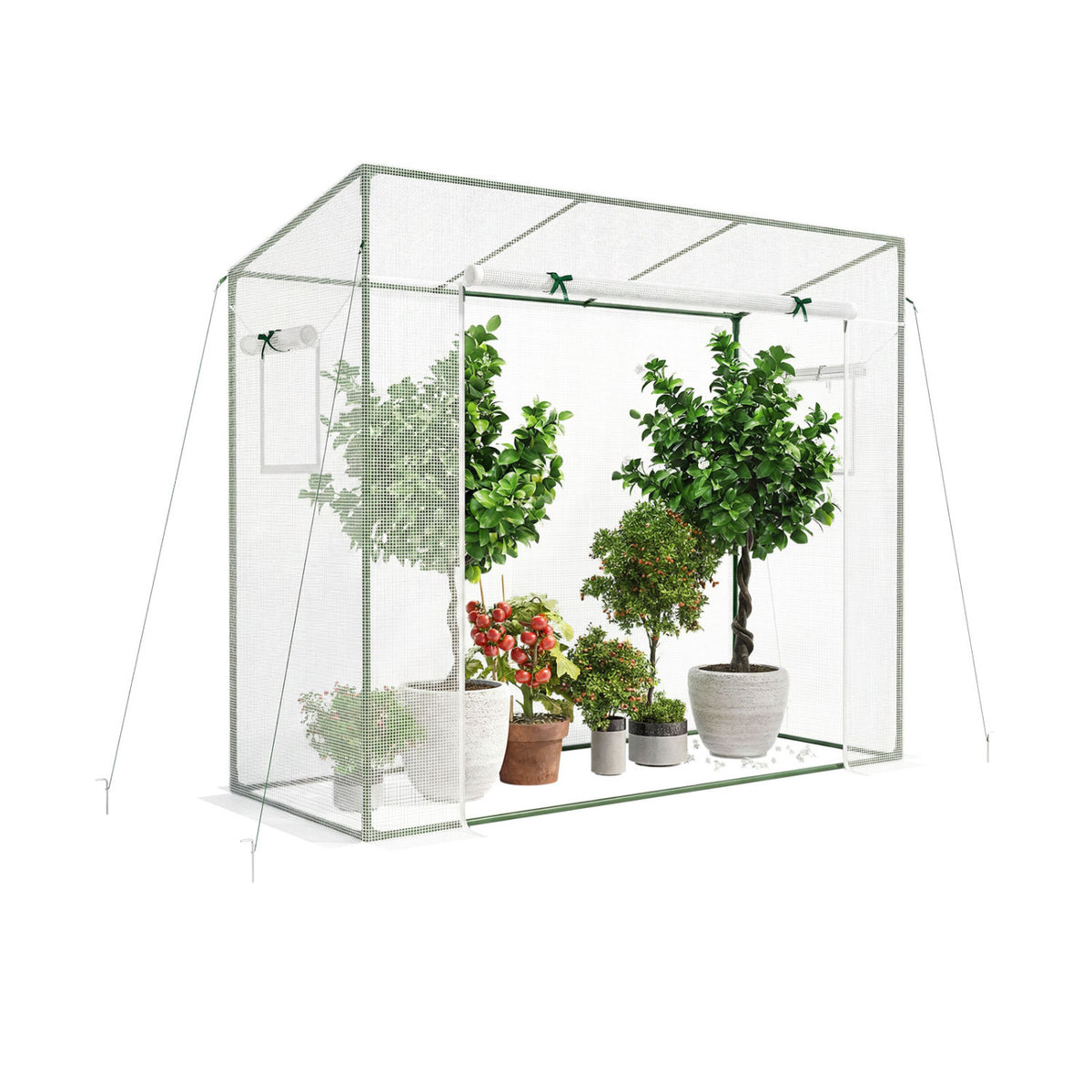 Outdoor Portable Walk-in Greenhouse with PE Cover Roll-up Zipper Door-White