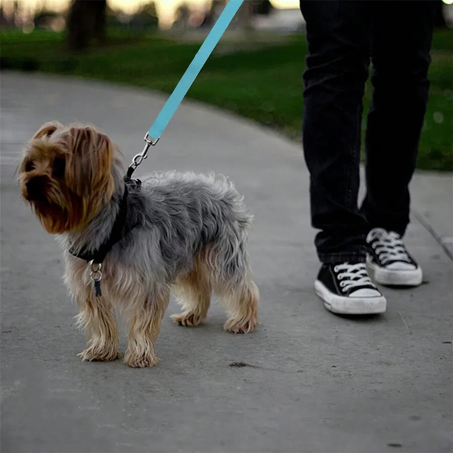 1pc Pet Car Belt, Dog Cat Car Leash, Retractable Backseat Pet Tether, Keep Your Dogr! Dog Outing Dog Stuff Dog Car Seat Car