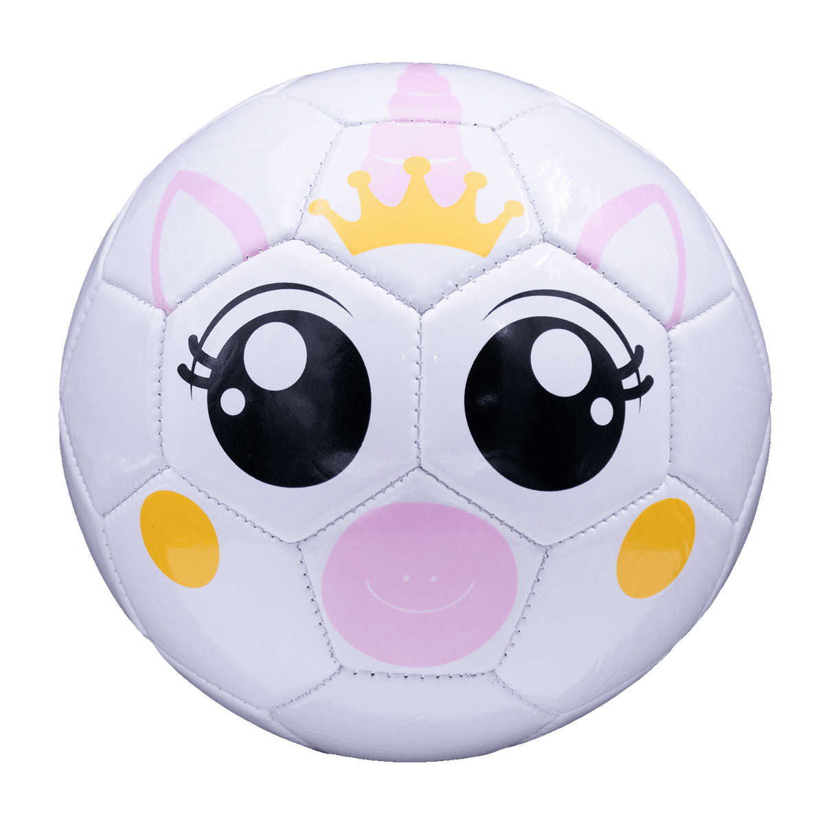 Fun Recreational soccer ball