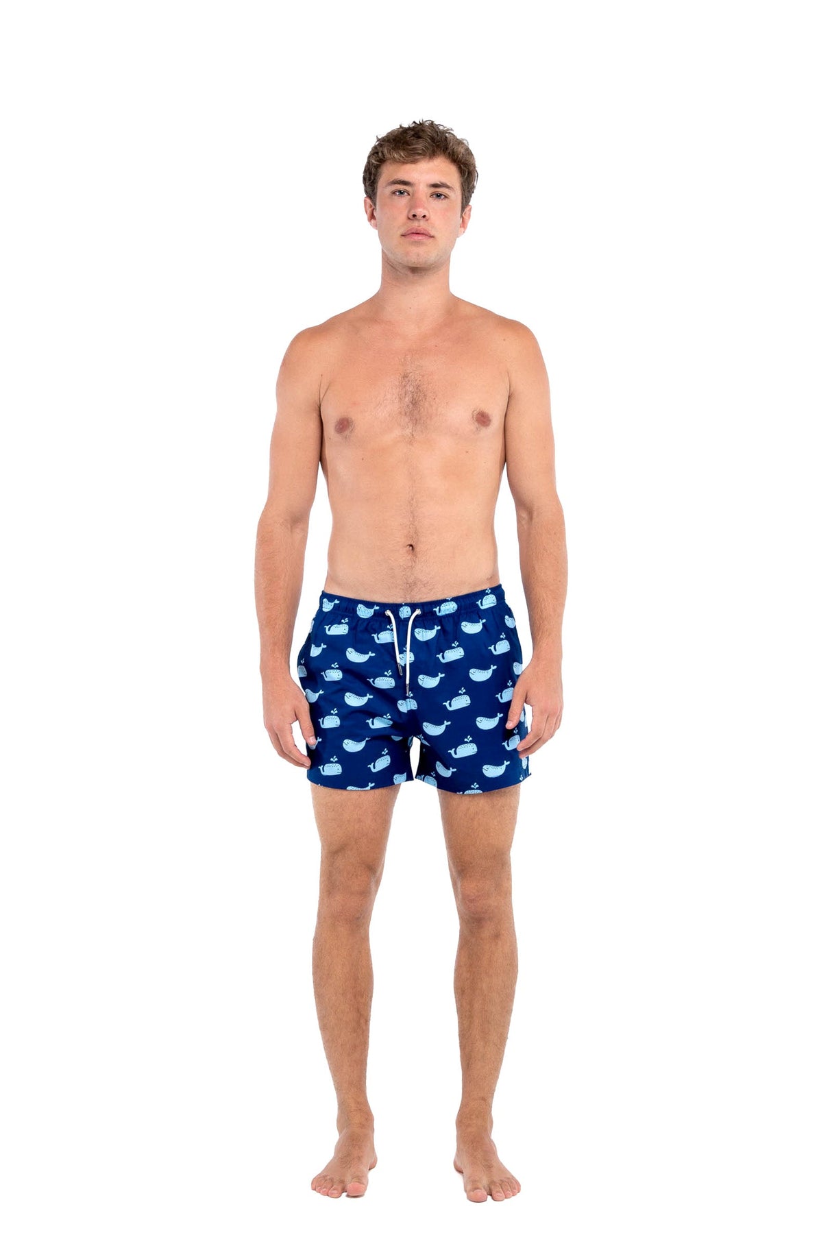 Blue Whale by Bermies