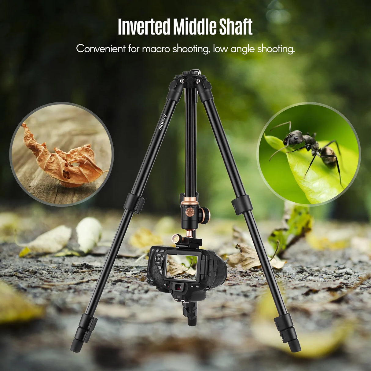 Andoer Q160SA Camera Tripod with Panoramic Ballhead Bubble Level Adjustable Height for DSLR Camera Camcorder Mini Projector