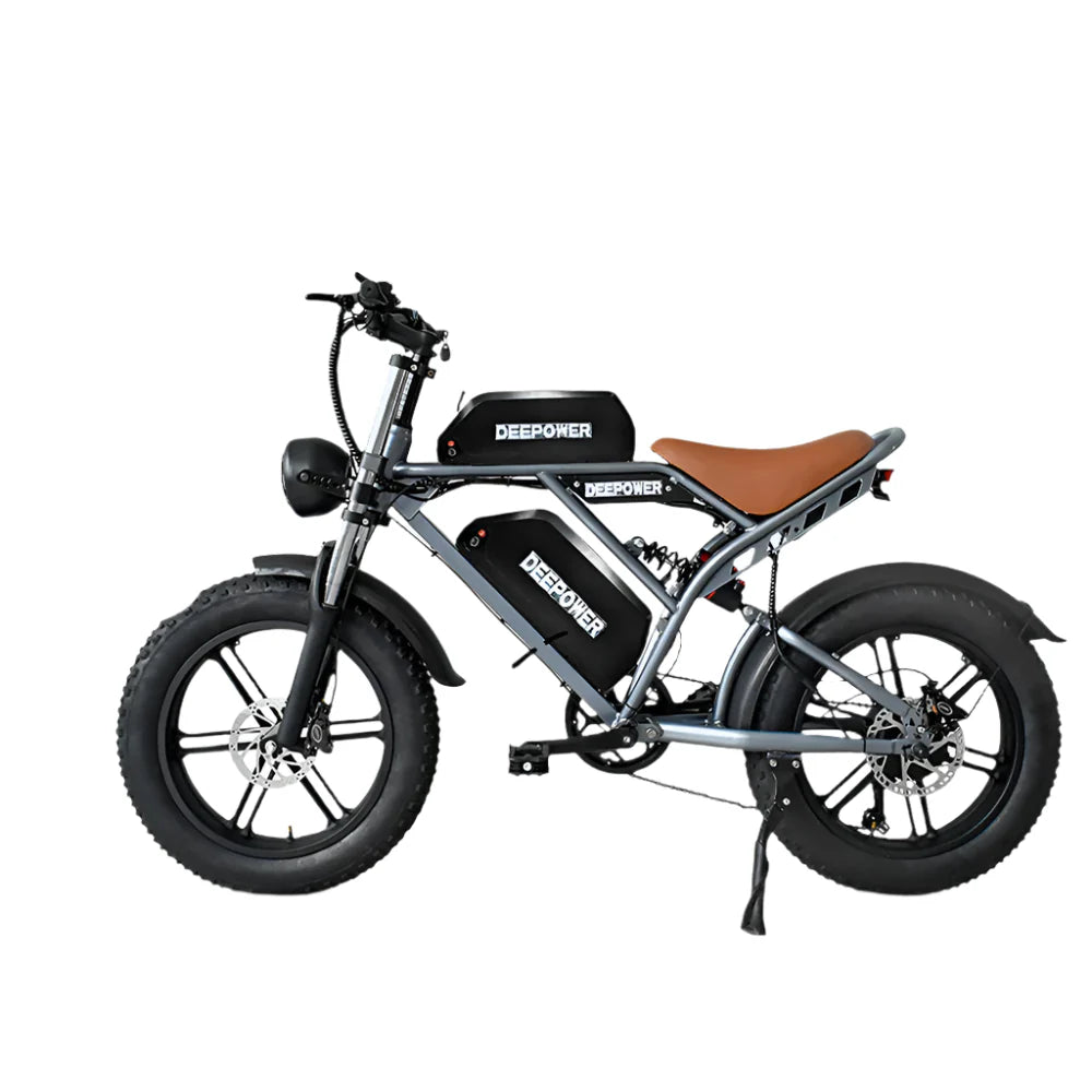 Electric Bicycle 20" Fat Tires Dual Battery 48V 55Ah