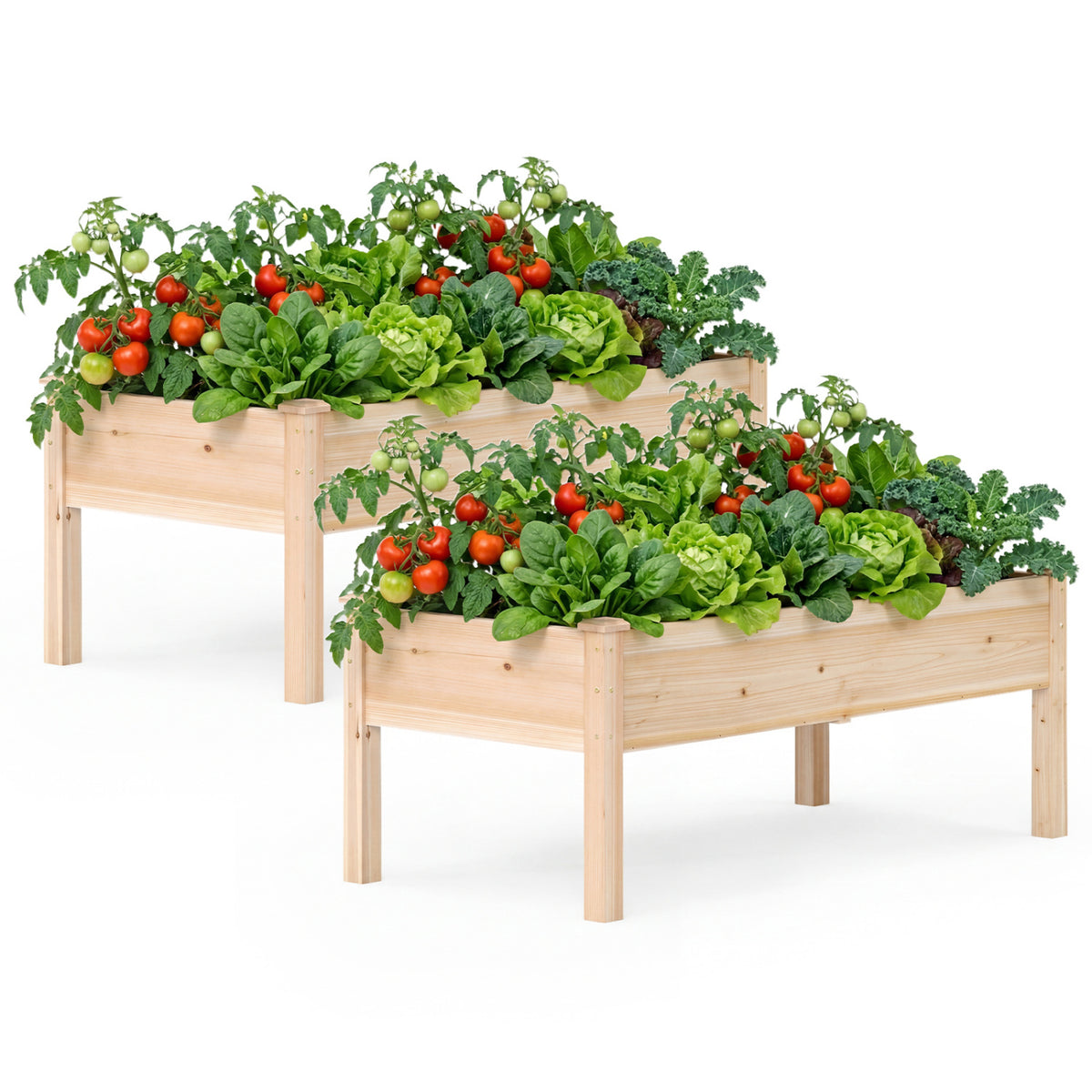 Set of 2 Wooden Raised Garden Bed with Legs Natural Fir Wood Elevated Planter Box