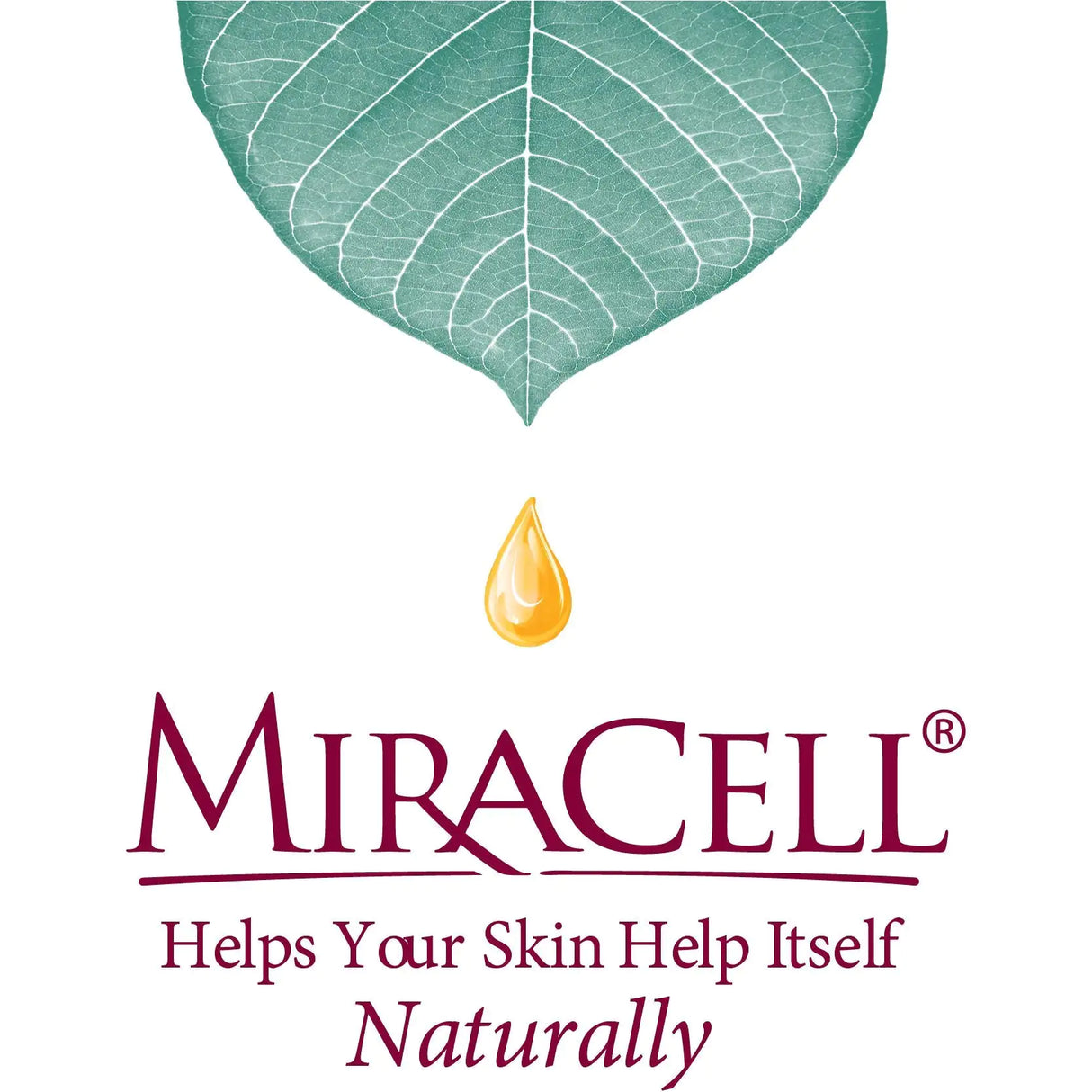 Miracell ProEar, Ear Drops for Itchy Ears, Clogged Ears, Irritated Ears, Dry Ears. All Natural Ear Oil for, Babies, Kids, Adults, and Dogs 0.5oz