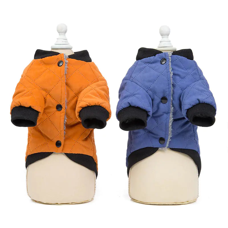 Cute Winter Padded Dog Jacket for Autumn/Winter
