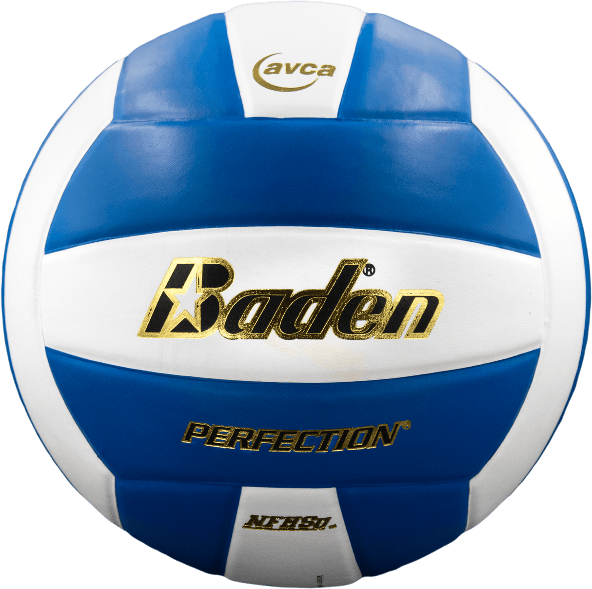 Perfection Leather Volleyball NFHS Stamped