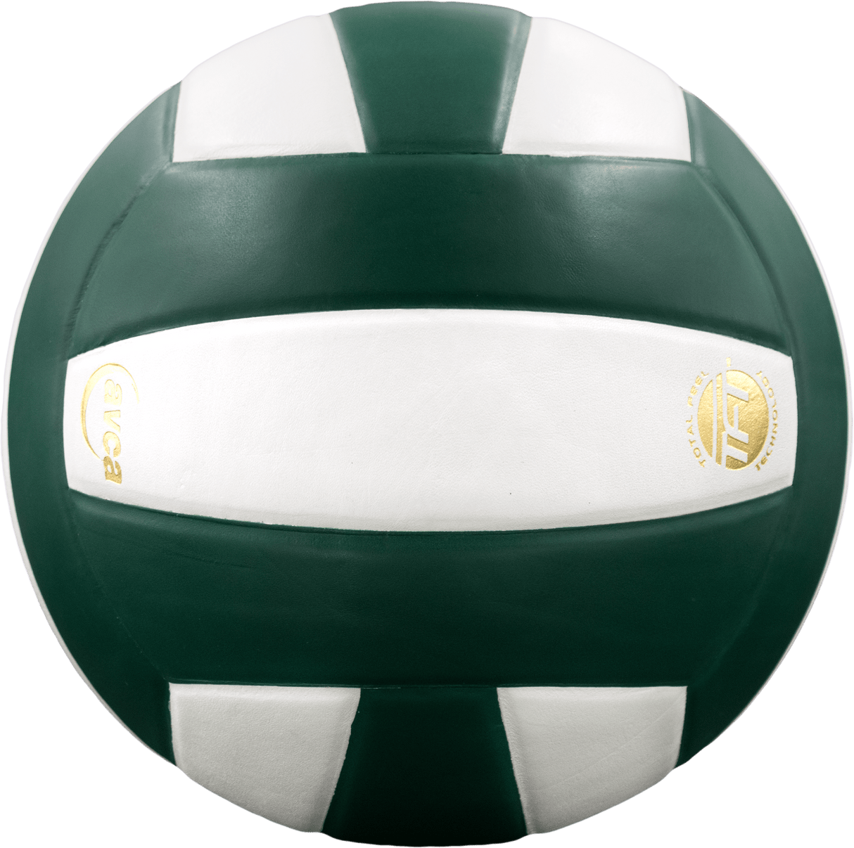 Perfection Leather Volleyball