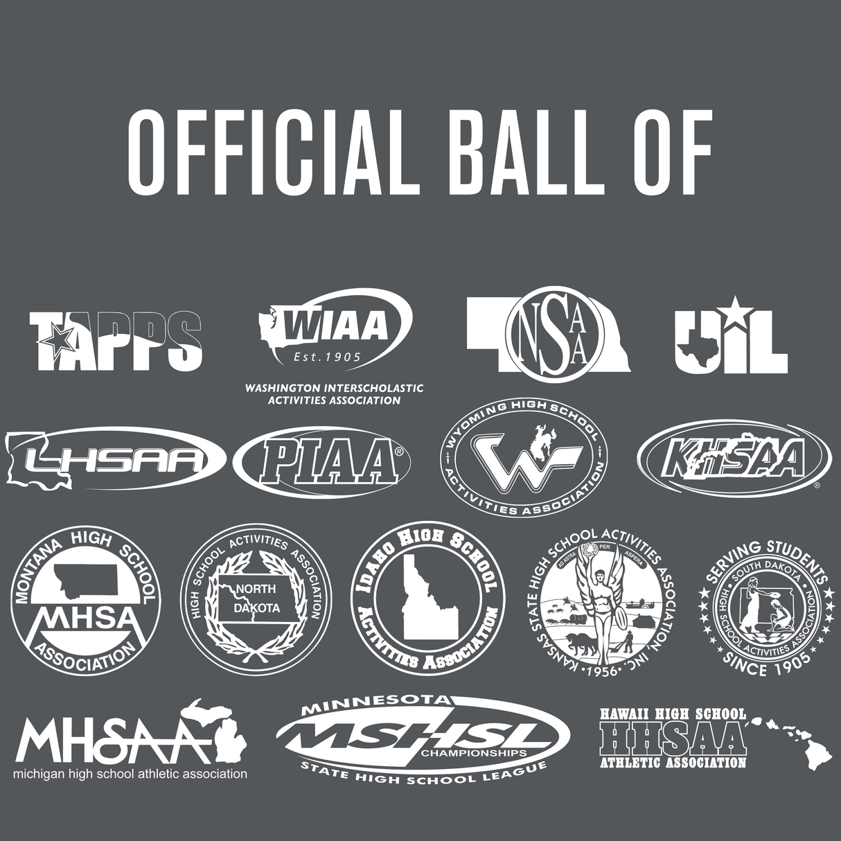 Perfection Leather Volleyball NON NFHS