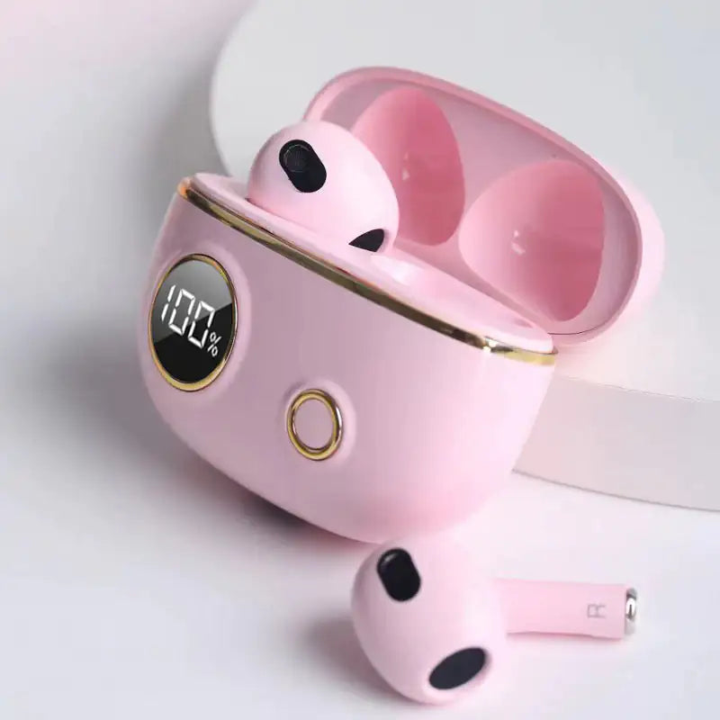 Fancy High Definition Earbuds