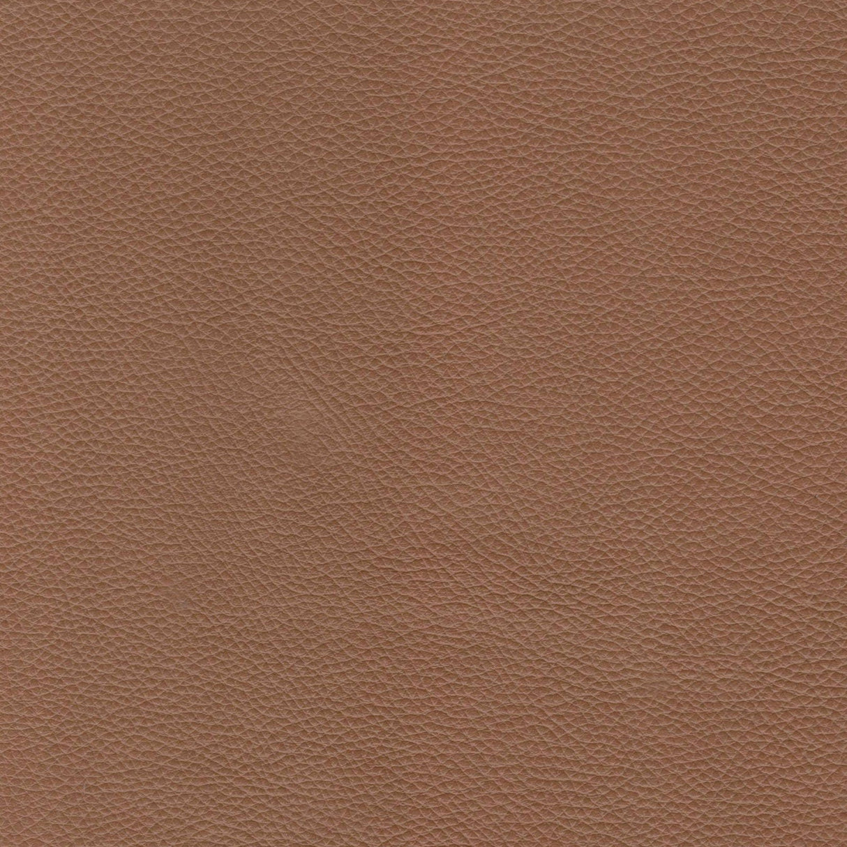 Modern Leather Sofa - Caramel by Couch.com