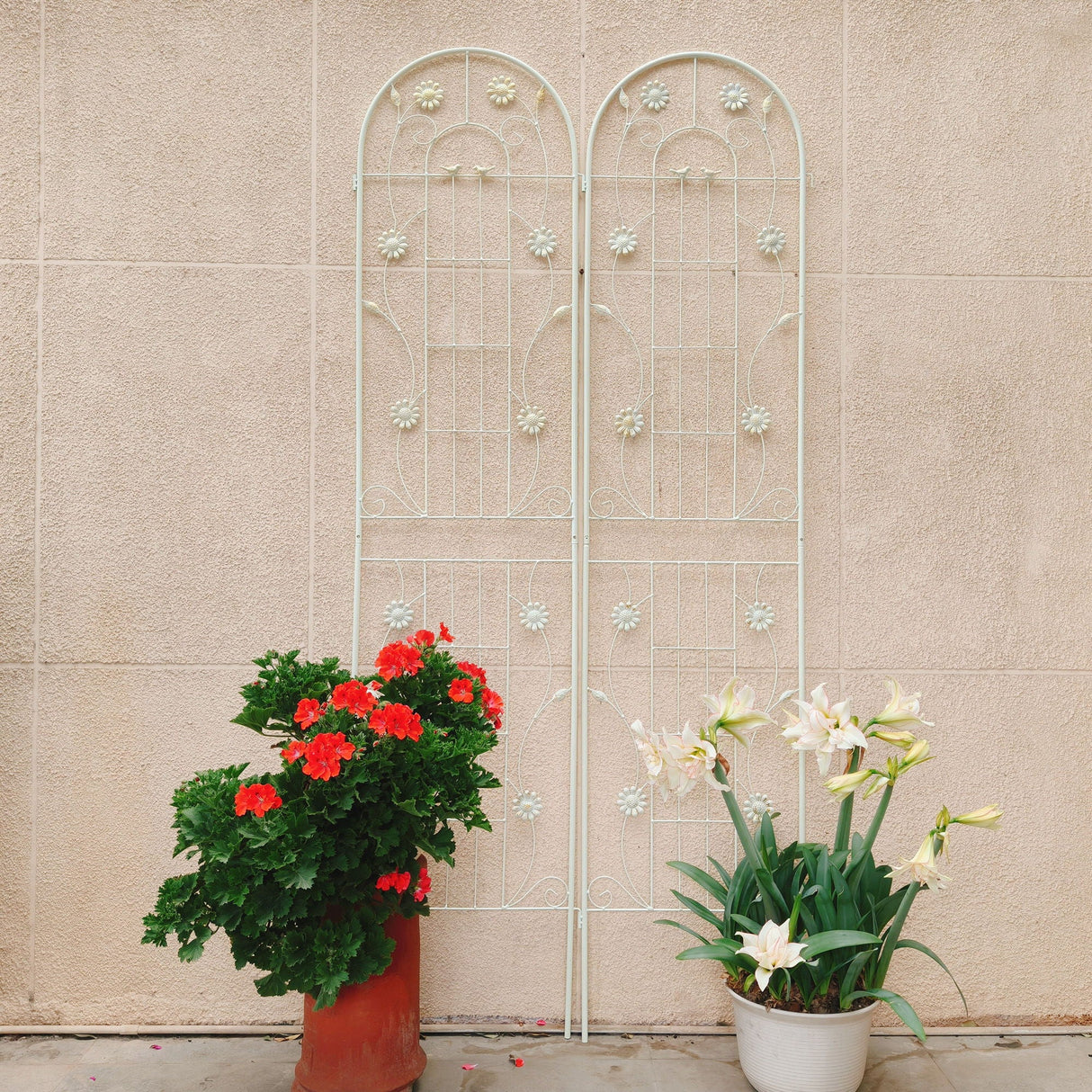 Metal Garden Trellis Rustproof Trellis For Climbing Plant Outdoor Flower Support by Couch.com