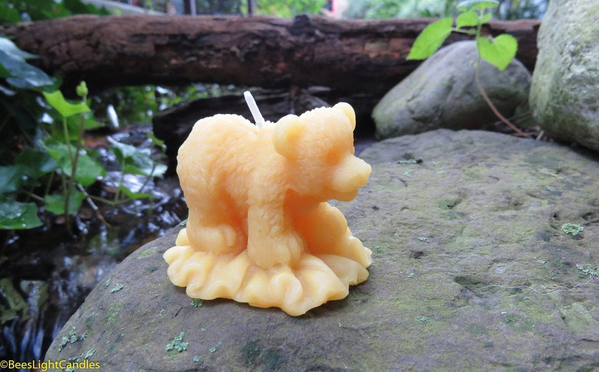 Baby Bear Cub Beeswax Candle
