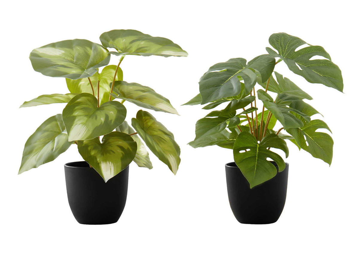 13" Tall, Artificial Plant, Monstera Calthea, Indoor, Faux, Fake, Table, Greenery, Potted, Decorative (Set of 2) - Green / Black by Couch.com