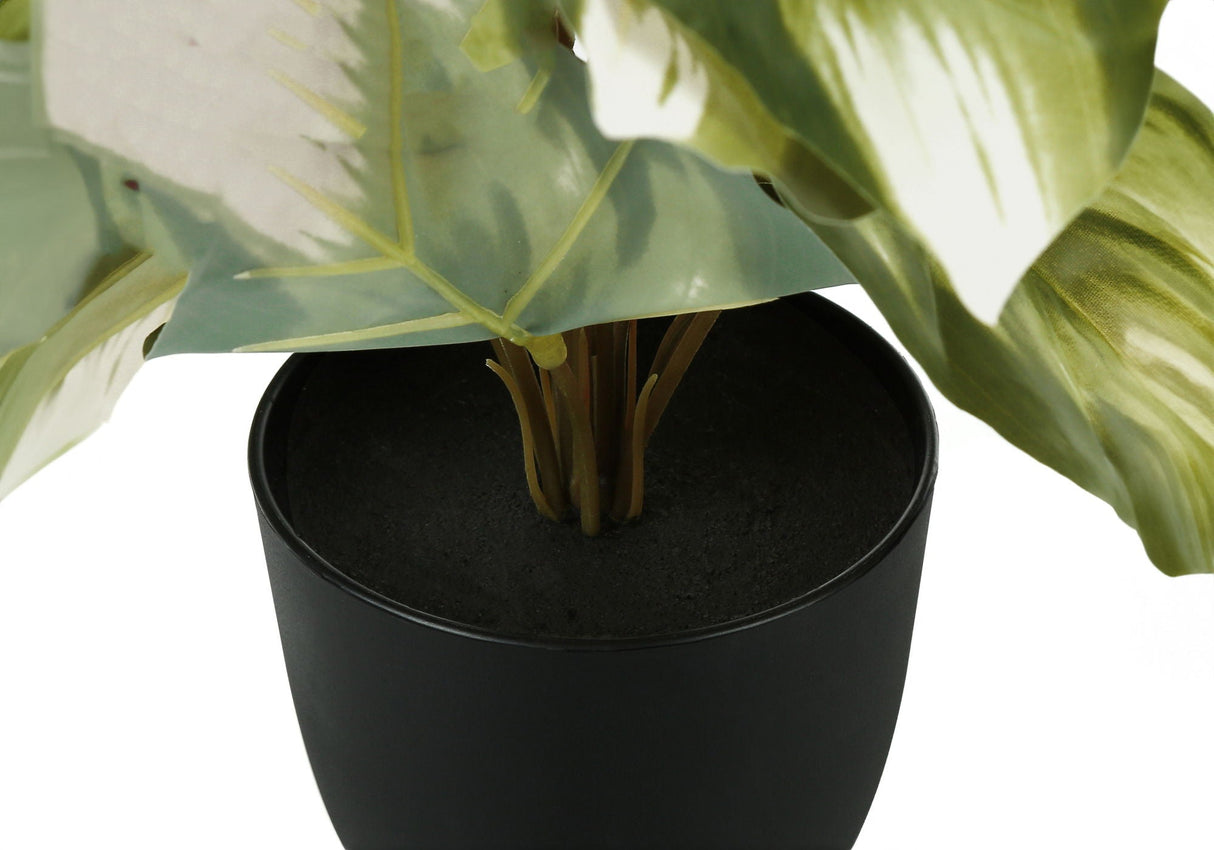 13" Tall, Artificial Plant, Monstera Calthea, Indoor, Faux, Fake, Table, Greenery, Potted, Decorative (Set of 2) - Green / Black by Couch.com