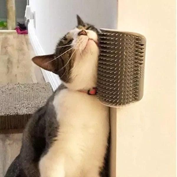 Cat Scratcher Corner Pet Brush Comb Play Cat Toy Plastic Scratch Bristles Arch Massager Self Groomer with Catnip Pouch Cat Wall Corner Massage Groomer Cat Self Grooming Brush