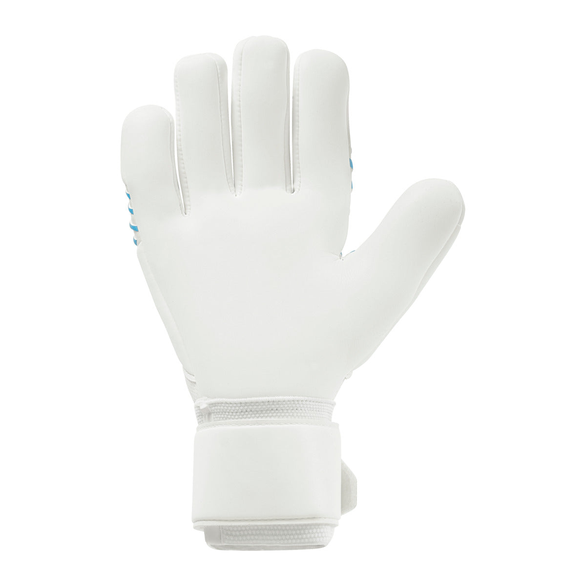 Cybertec Supersoft HN 2025
