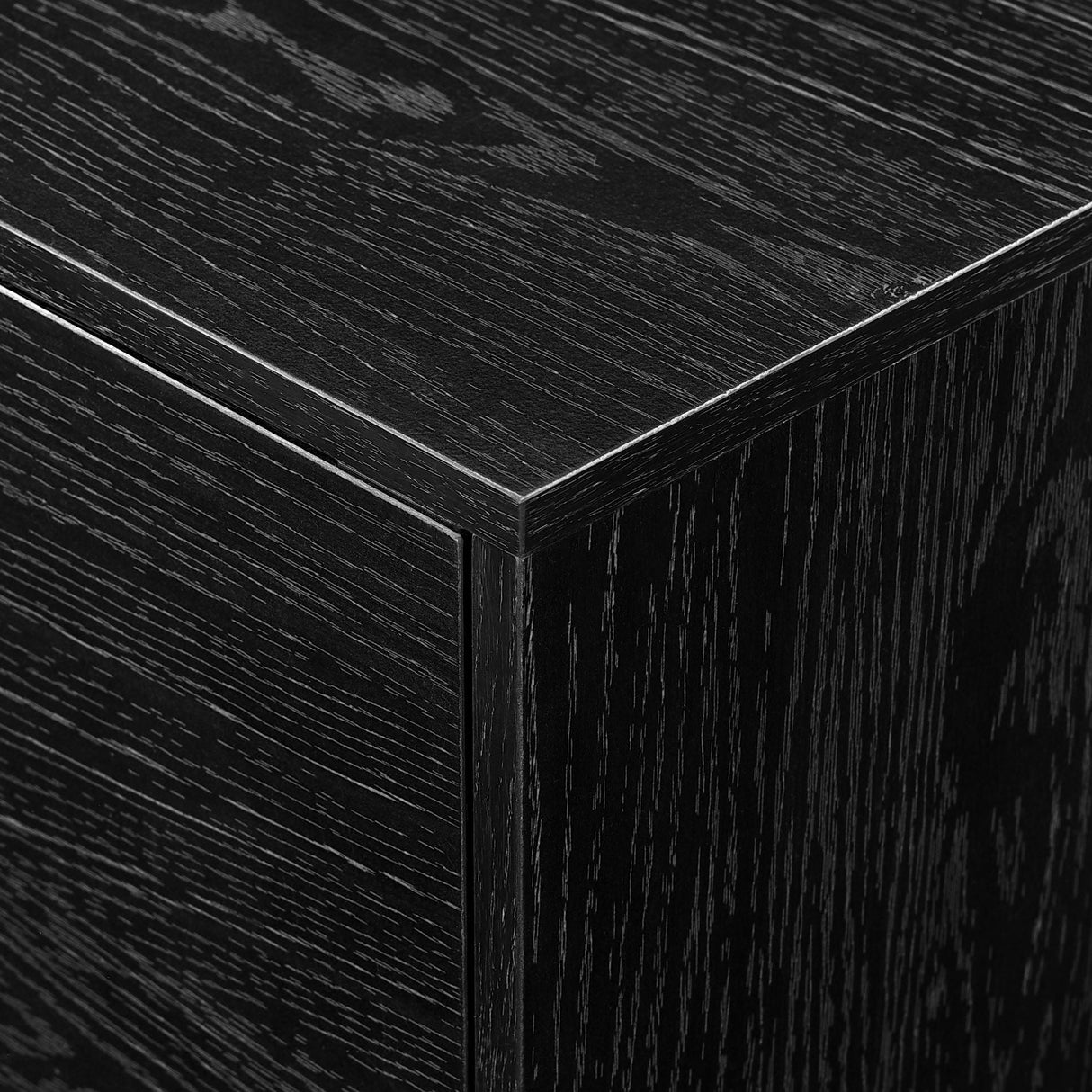 Contemporary 2 Door Minimalist TV Stand by Couch.com