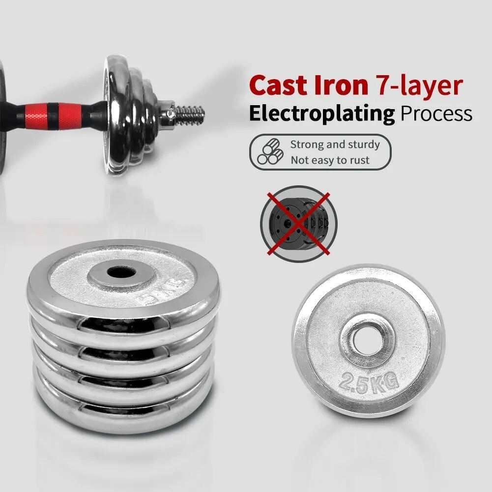 Adjustable Dumbbell Set Home Gym Cast Iron Barbell Sets with Carry Box 66lbs Office Bedroom Workout Dumbbells for Men and Women