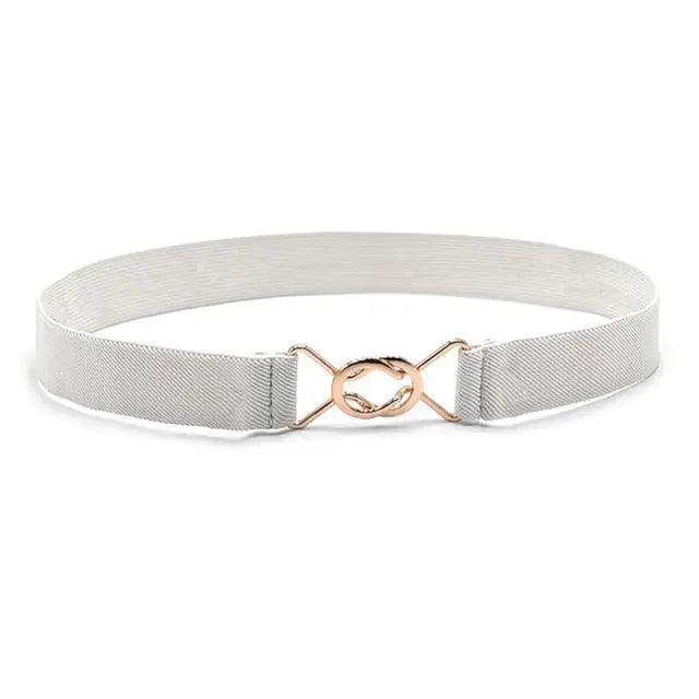 Elegant Wide Fabric Strap Silver Metal Buckle Belts For Women Trendy Women's Fashion Stretchable Classic Color Belts