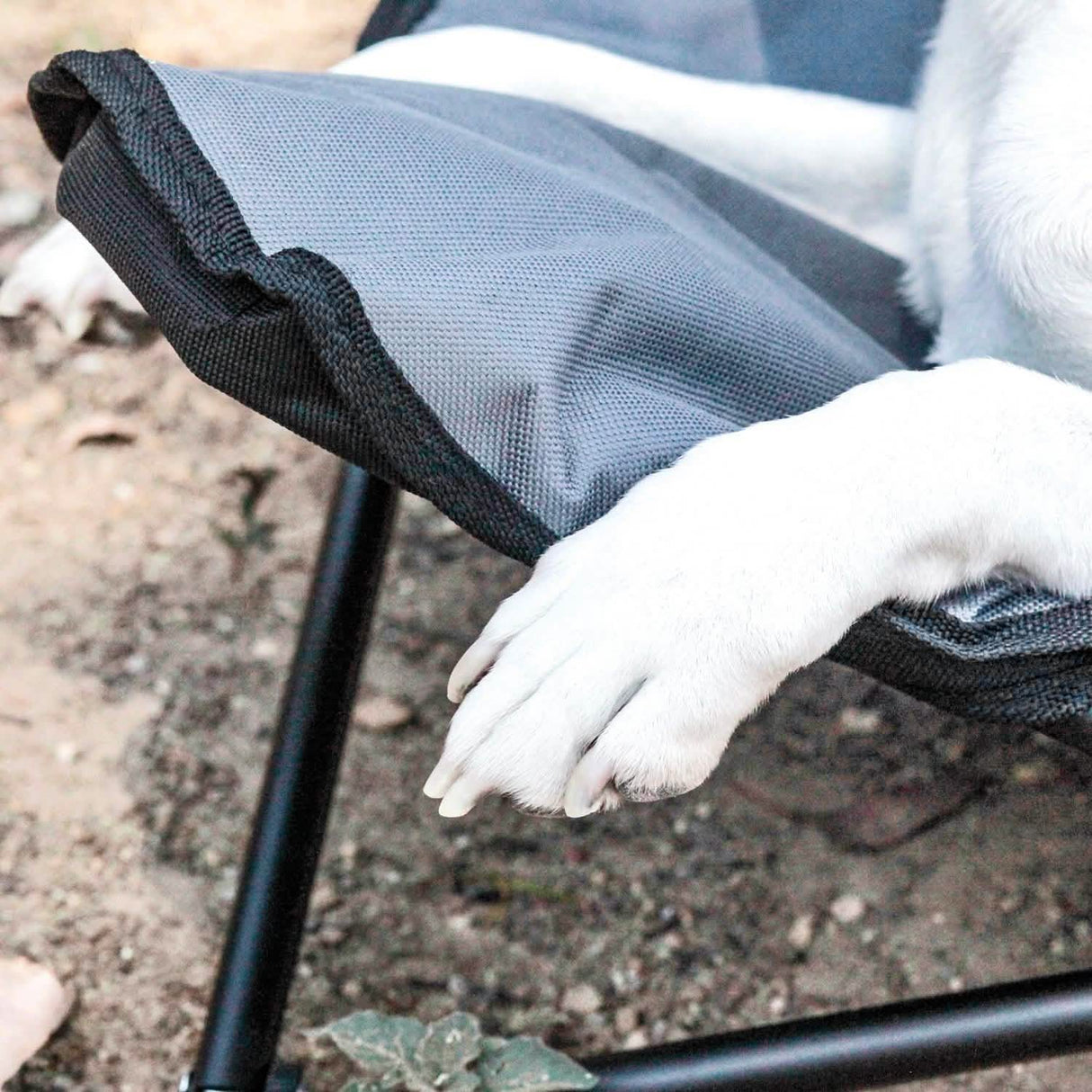 Elevated Camping Pet Bed Medium