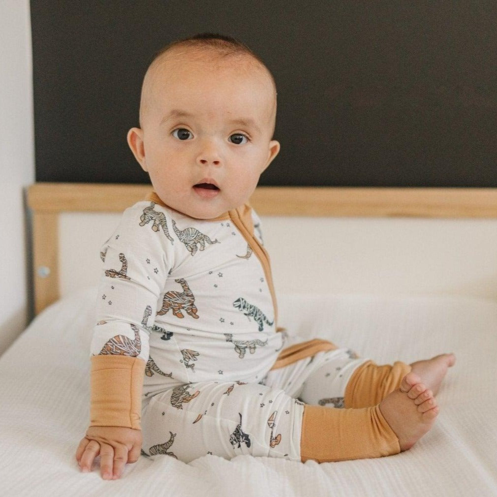 Mummy-Saurus Rex Bamboo Zippy Romper *Newborn & 0-3 months only