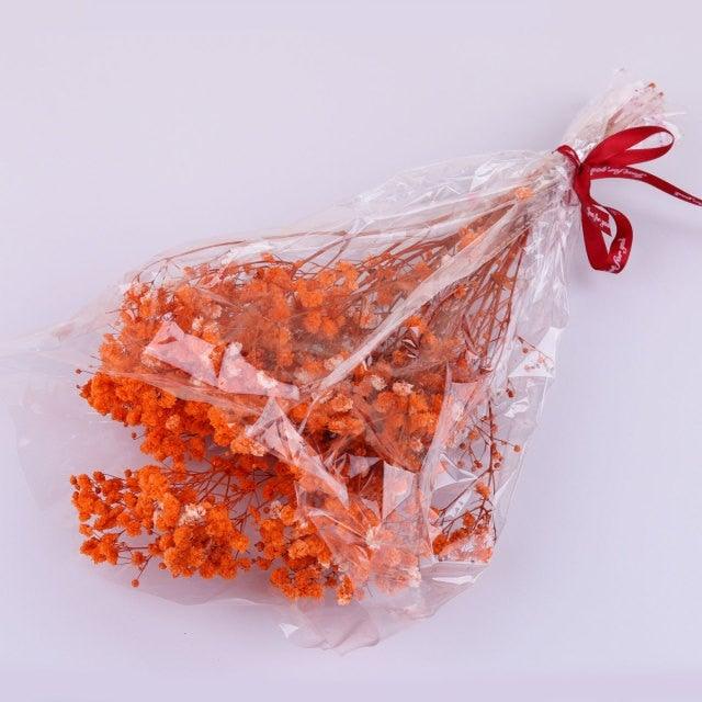 Natural Gypsophila Dried Flowers Mini Babysbreath Flower Preserve Floral Decor Bouquet Wedding Party Home Backdrop Decor 12cm