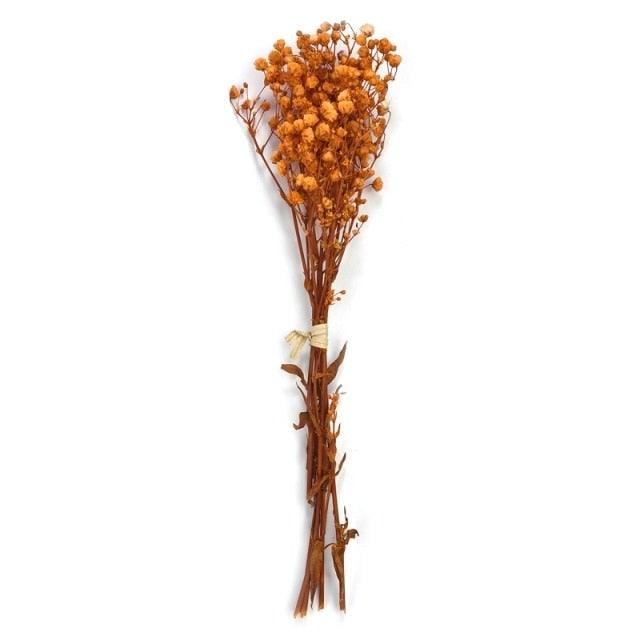 Natural Gypsophila Dried Flowers Mini Babysbreath Flower Preserve Floral Decor Bouquet Wedding Party Home Backdrop Decor 12cm