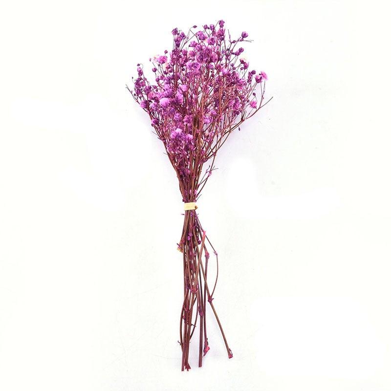 Natural Gypsophila Dried Flowers Mini Babysbreath Flower Preserve Floral Decor Bouquet Wedding Party Home Backdrop Decor 12cm