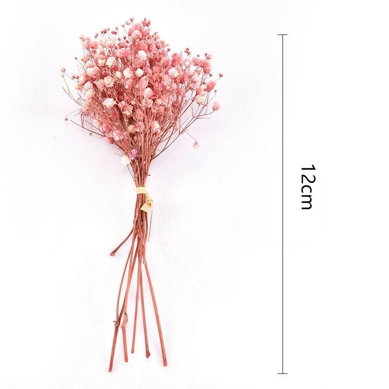 Natural Gypsophila Dried Flowers Mini Babysbreath Flower Preserve Floral Decor Bouquet Wedding Party Home Backdrop Decor 12cm