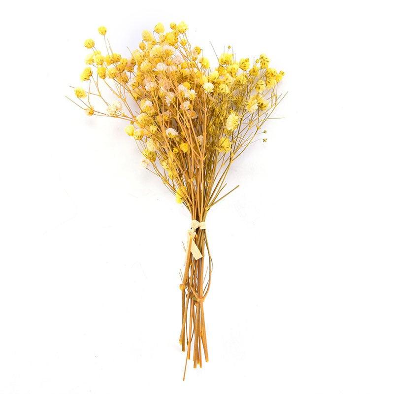 Natural Gypsophila Dried Flowers Mini Babysbreath Flower Preserve Floral Decor Bouquet Wedding Party Home Backdrop Decor 12cm