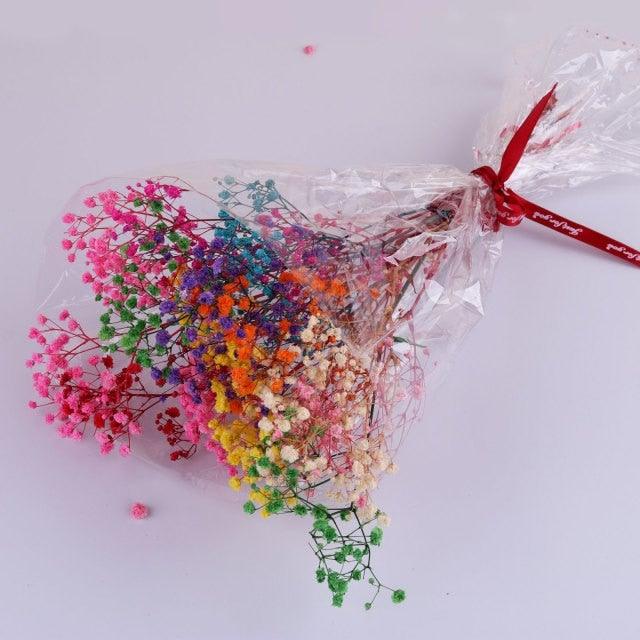 Natural Gypsophila Dried Flowers Mini Babysbreath Flower Preserve Floral Decor Bouquet Wedding Party Home Backdrop Decor 12cm