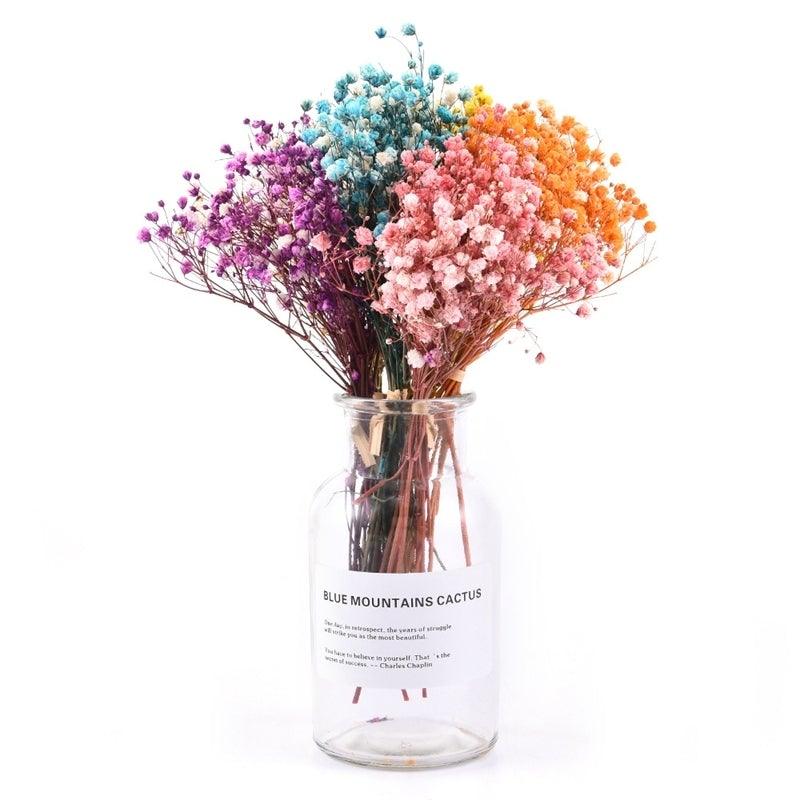 Natural Gypsophila Dried Flowers Mini Babysbreath Flower Preserve Floral Decor Bouquet Wedding Party Home Backdrop Decor 12cm