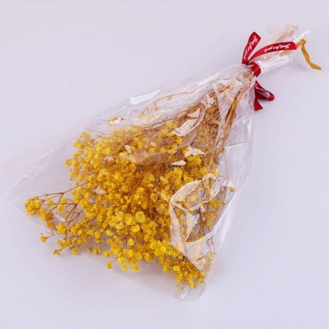 Natural Gypsophila Dried Flowers Mini Babysbreath Flower Preserve Floral Decor Bouquet Wedding Party Home Backdrop Decor 12cm