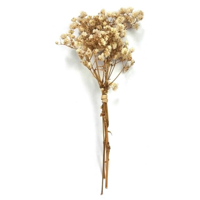 Natural Gypsophila Dried Flowers Mini Babysbreath Flower Preserve Floral Decor Bouquet Wedding Party Home Backdrop Decor 12cm