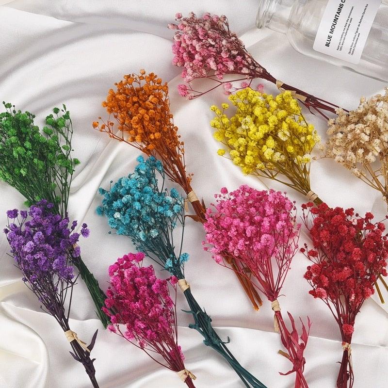 Natural Gypsophila Dried Flowers Mini Babysbreath Flower Preserve Floral Decor Bouquet Wedding Party Home Backdrop Decor 12cm