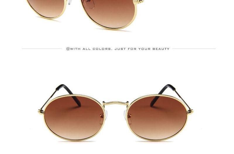 Oval Sunglasses Vintage Retro Sunglasses Designer Glasses for Women Men Oval Shape Sunglasses For Women/Men Popular Luxury Round Shape Sunglasses