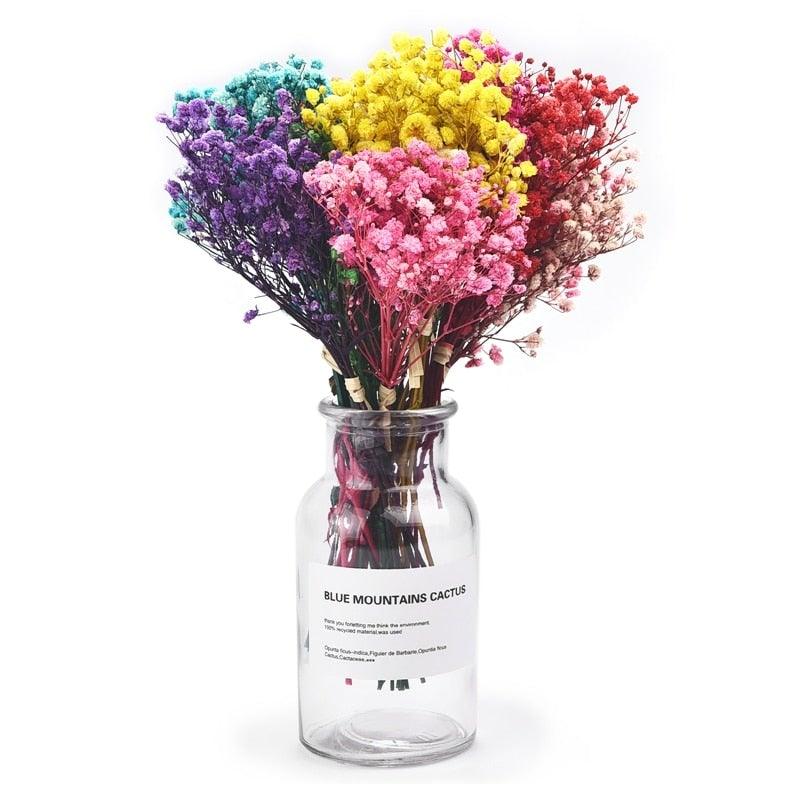 Natural Gypsophila Dried Flowers Mini Babysbreath Flower Preserve Floral Decor Bouquet Wedding Party Home Backdrop Decor 12cm