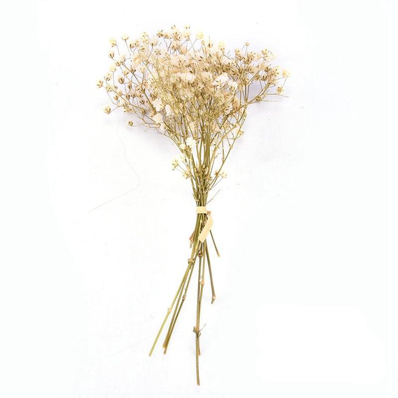 Natural Gypsophila Dried Flowers Mini Babysbreath Flower Preserve Floral Decor Bouquet Wedding Party Home Backdrop Decor 12cm